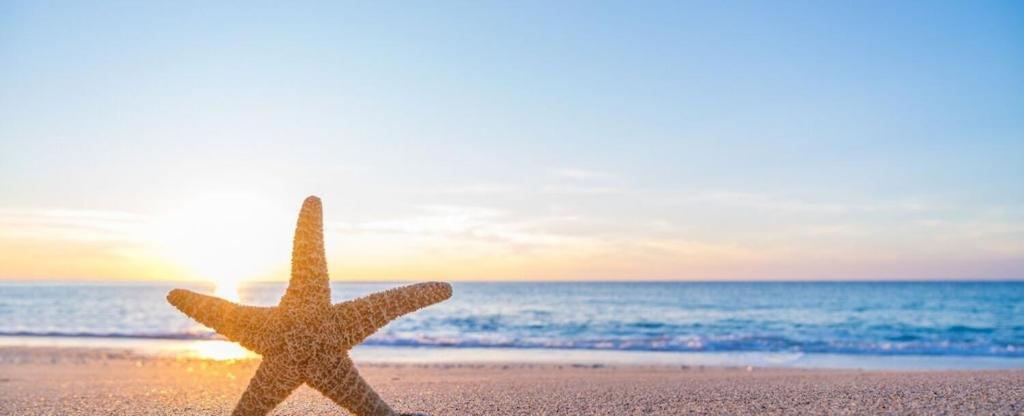 Biloxi Beach Condo-B 外观 照片